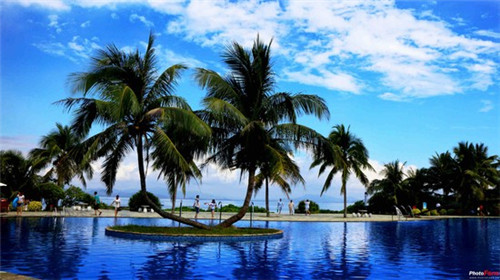 牛丼日式牛肉饭