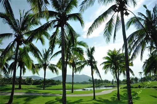 御牛道日式料理