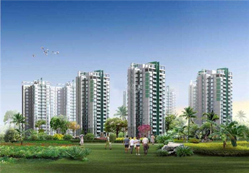 蓝紫色系洗发露（紫色洗发膏）