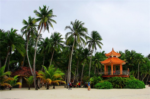 在田间割草配什么歌合适（割草的歌词）