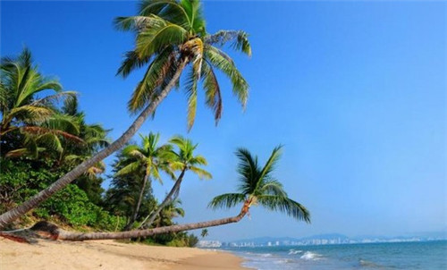 播放全集空调的歌是什么（空调的什么音乐）