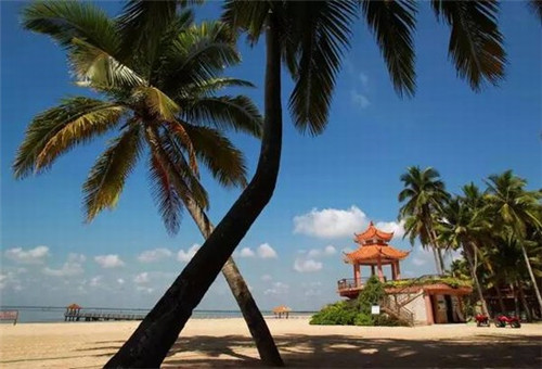 伟源牛肉面附近美食（伟源牛肉面附近美食有哪些）