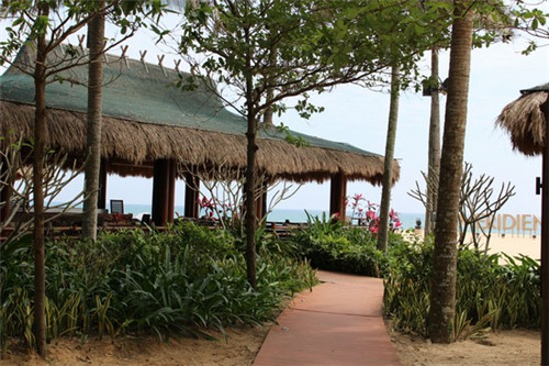 厚哥后宫爽剧大结局（厚哥后宫爽剧大结局在线观看）