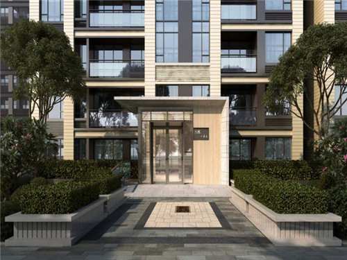 猫咪怎么玩小游戏的（小猫怎样玩）